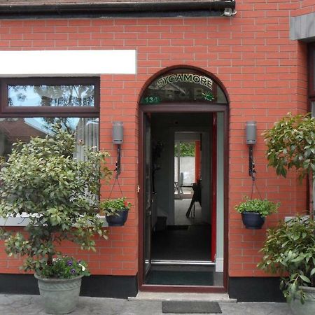Sycamore House B&Bダブリン エクステリア 写真