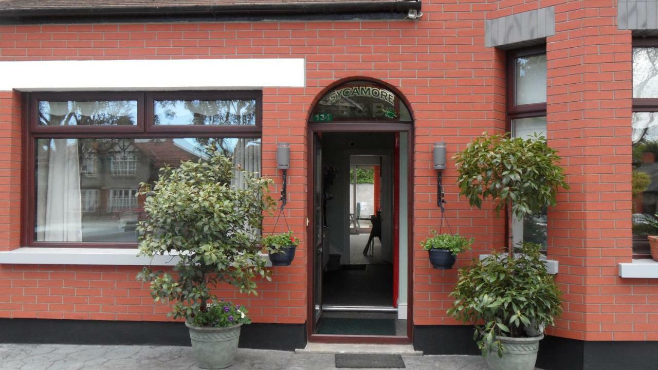Sycamore House B&Bダブリン エクステリア 写真